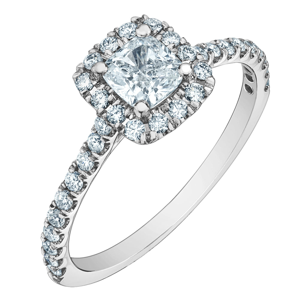 The Quintessential Halo Engagement Ring- in Cushion - Diamond Evolution- Lab Grown Diamond Jewellery