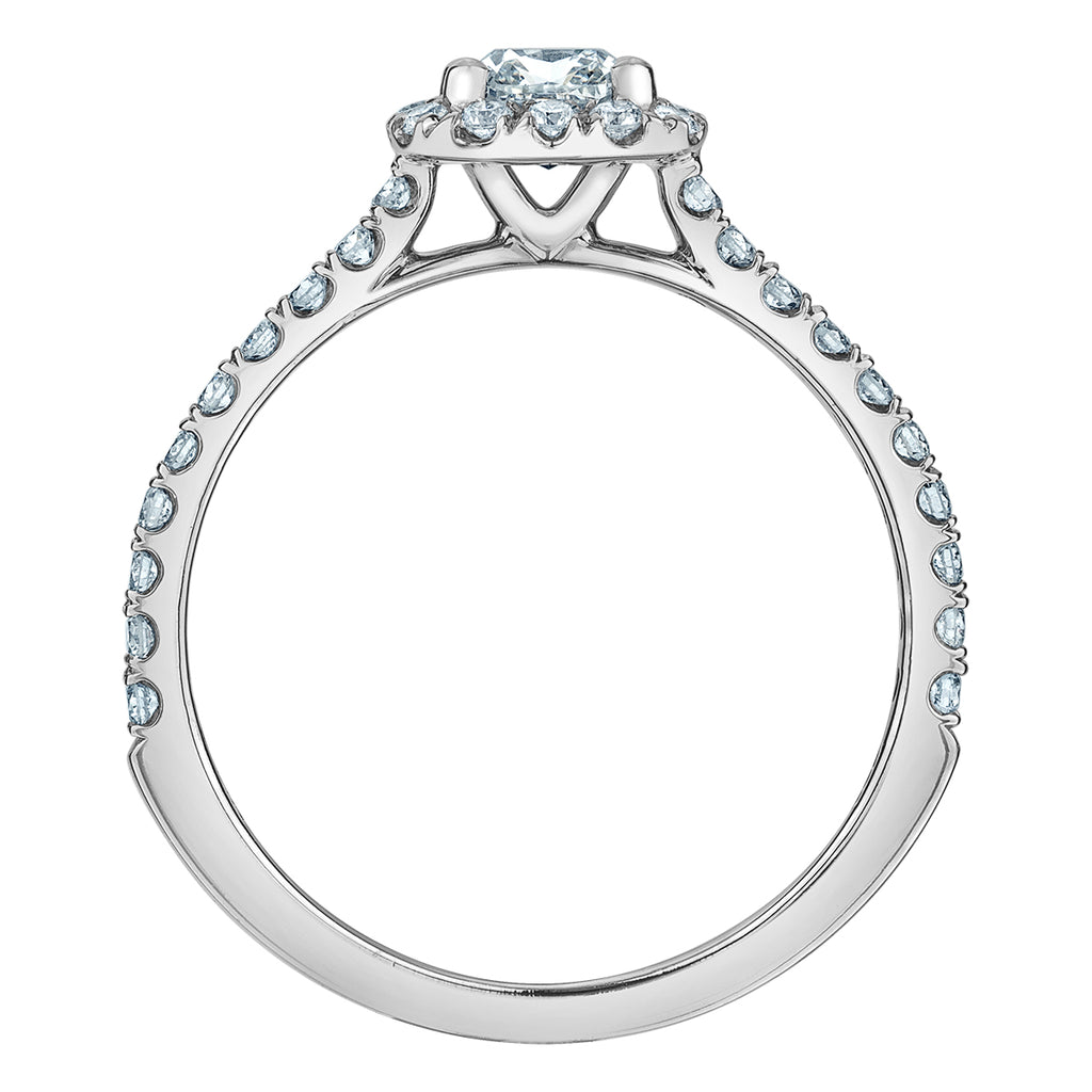 The Quintessential Halo Engagement Ring- in Cushion - Diamond Evolution- Lab Grown Diamond Jewellery