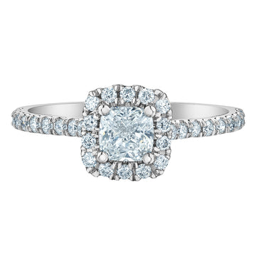The Quintessential Halo Engagement Ring- in Cushion - Diamond Evolution- Lab Grown Diamond Jewellery