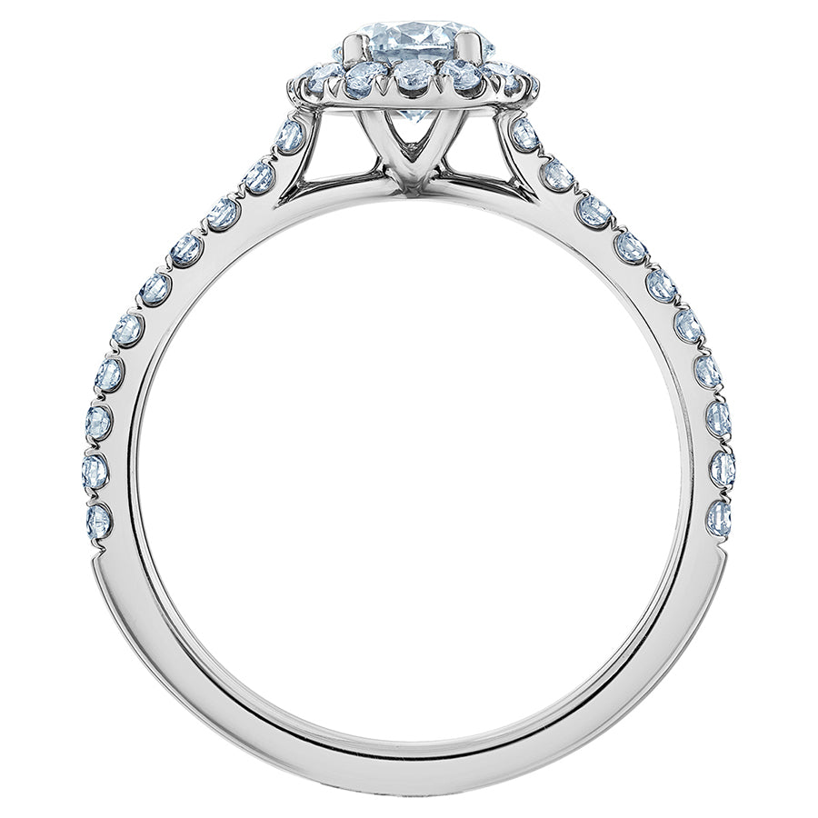The Quintessential Halo Engagement Ring- in Round - Diamond Evolution- Lab Grown Diamond Jewellery