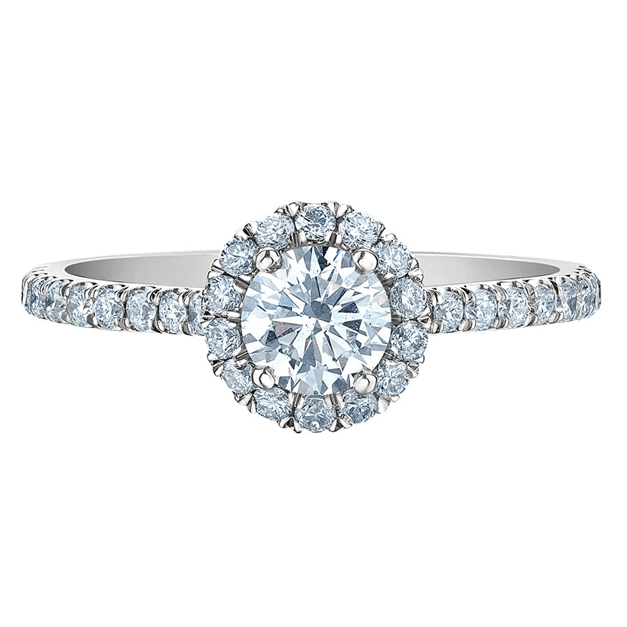 The Quintessential Halo Engagement Ring- in Round - Diamond Evolution- Lab Grown Diamond Jewellery