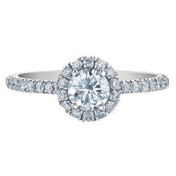 The Quintessential Halo Engagement Ring- in Round - Diamond Evolution- Lab Grown Diamond Jewellery