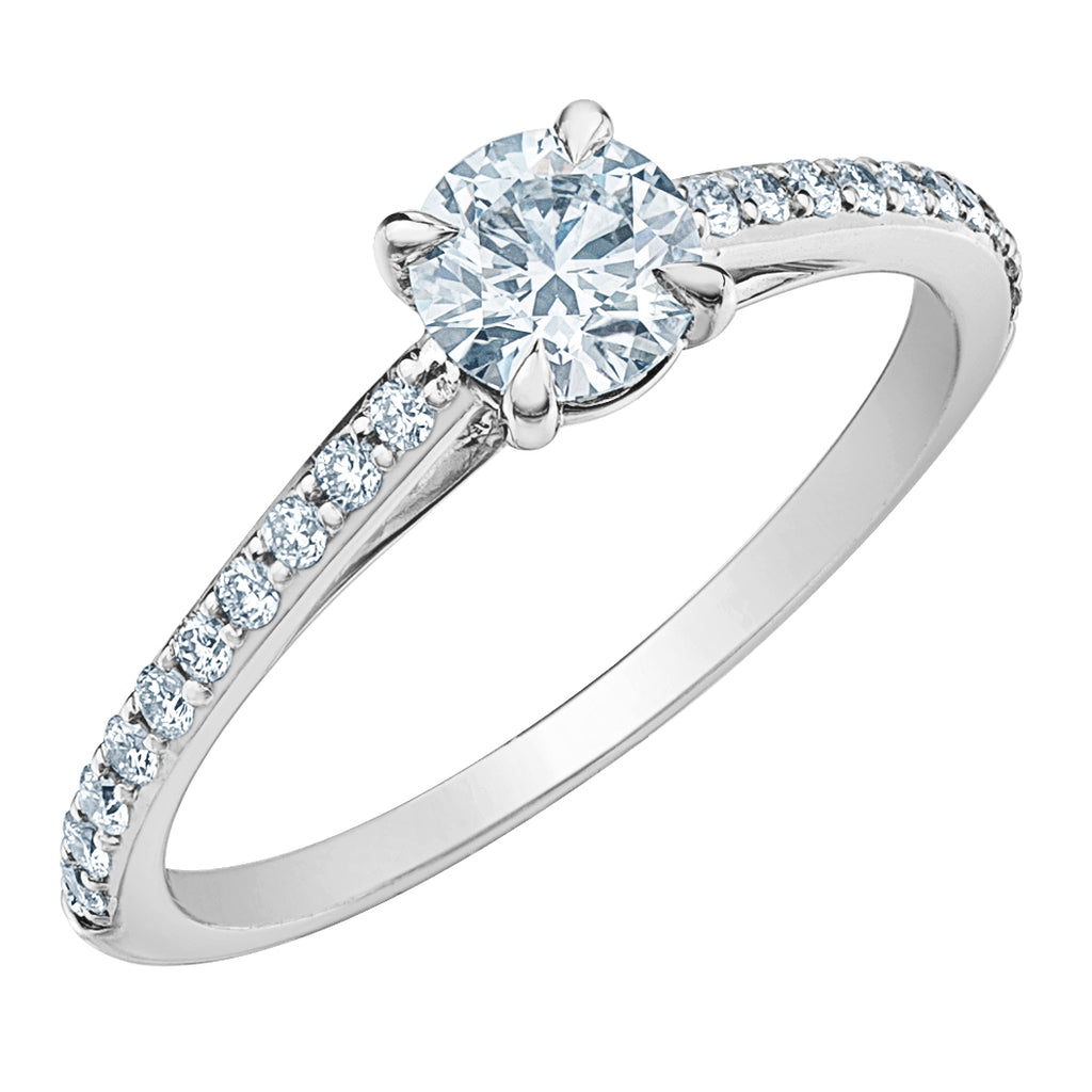 The Diamond Pave in Round Brilliant - Diamond Evolution- Lab Grown Diamond Jewellery