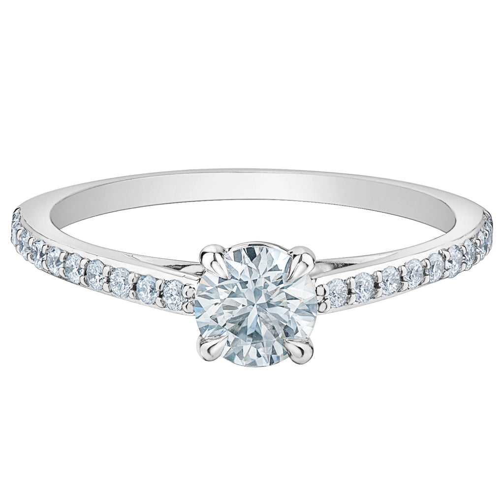 The Diamond Pave in Round Brilliant - Diamond Evolution- Lab Grown Diamond Jewellery