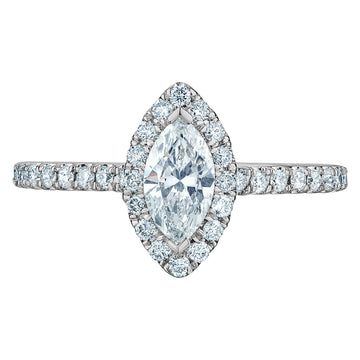 The Quintessential Halo Engagement Ring- in Marquise - Diamond Evolution- Lab Grown Diamond Jewellery