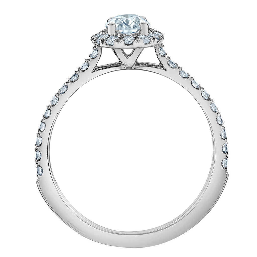 The Quintessential Halo Engagement Ring- in Oval - Diamond Evolution- Lab Grown Diamond Jewellery