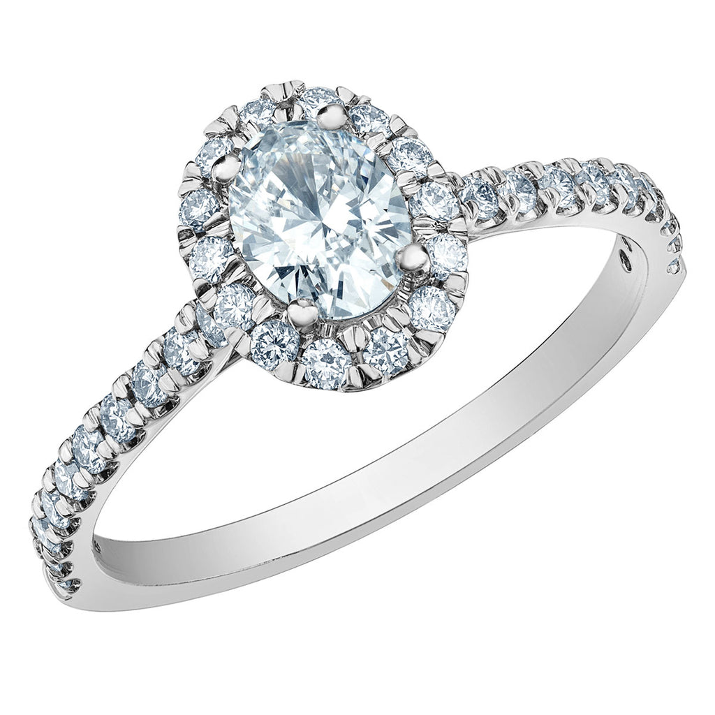 The Quintessential Halo Engagement Ring- in Oval - Diamond Evolution- Lab Grown Diamond Jewellery