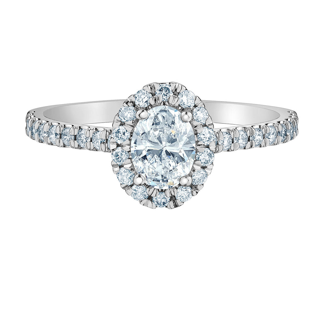 The Quintessential Halo Engagement Ring- in Oval - Diamond Evolution- Lab Grown Diamond Jewellery